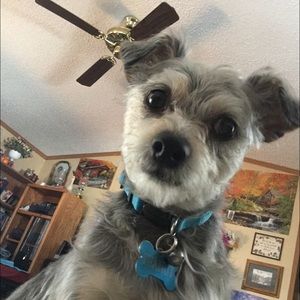 Meet your Posher, Veronica